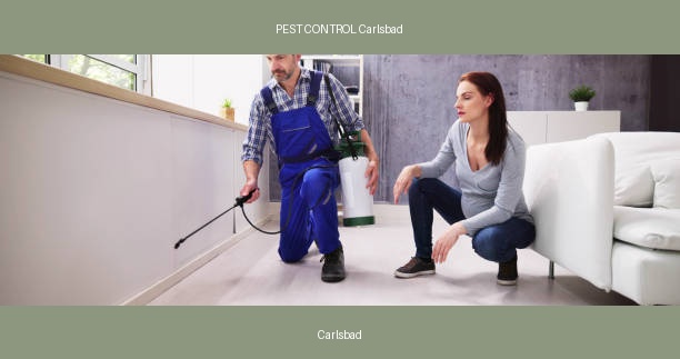 PEST CONTROL Carlsbad